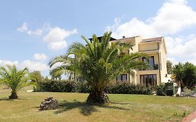 Palmas Dorada